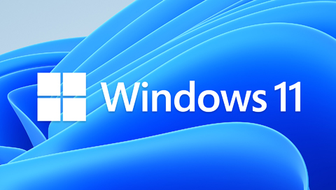 尝鲜，Windows 11默认壁纸下载，4K分辨率哦