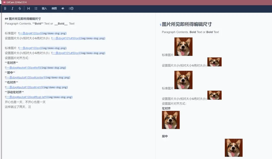 图片alt